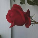 Debbie Cushman - @magra_happy_life - Instagram