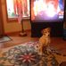 Debbie Dahlman Griffith - Facebook