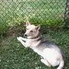 debbiedarby38 - @debbiedarby38 - TikTok