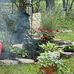 Debbie Deegan - Facebook