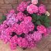 Debbie Deegan - Facebook