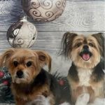 Deborah Deegan Duby - @debbie32394 - Instagram