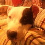 Debbie Kingsbury Deeter - @debbied724 - Instagram