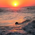 Debbie Dement - @dementdebbie - Instagram