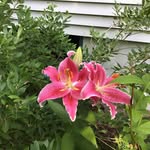 Debbie Dennison - @dennison3948 - Instagram