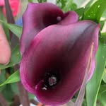 Debbie Dent - @debbie.dent.31 - Instagram