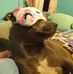 Debbie Devers - Facebook