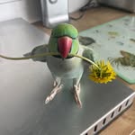 Debbie Dickens - @debbie_dickens - Instagram