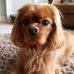 Debbie Dickens - Facebook