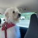 Debbie Dillman - Facebook