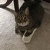 Debbie Dillman - Facebook