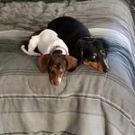 Debbie Dillman - @cloudyskid - Instagram