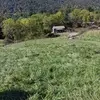 Debby Dillman - @debby.dillman - TikTok