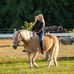 Debbie Disbrow - Facebook