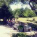 Debbie Dobbins - Facebook
