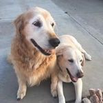 Debbie Dobbins - @debdob143 - Instagram