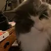 Debbie Donaldson - @debbiedonaldson - TikTok