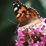 Debbie Donaldson - @debbie.donaldson.79 - Instagram