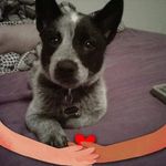 Debbie Dorman - @debbie.dorman.31 - Instagram