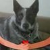 Debbie Dorman - Facebook
