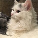 Debbie Dorn - @debbie.dorn.14 - Instagram