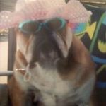 Debbie Dorn - @dorn324 - Instagram