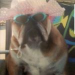 Debbie Dorn - @debbie.dorn.12 - Instagram