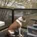 Debbie Dorn - Facebook