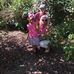 Debbie Dorn - Facebook