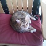 Debbie Drew - @drewdebbie70 - Instagram