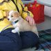 Debbie Drew - Facebook