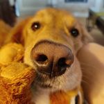 Debbie Ducote - @pcsg8516 - Instagram