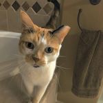 Debbie Hicks Ducote - @ducote7976 - Instagram