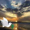 Debbie Duda Mason - @2166179588 - TikTok