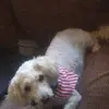 Debbie Duke - @debbie.duke - TikTok