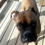 Debbie Dunlap - @debbie.dunlap.9047 - Instagram
