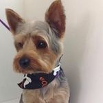 Debbie Teasley - @teasleydebbie - Instagram