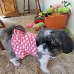 Debbie Eldridge - @eldridge.debbie - Instagram