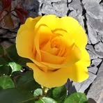 Debbie Eldridge - Facebook