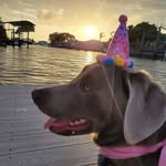 Debbie Eldridge Judge - @debbieeldridgejudge - Instagram