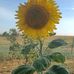 Debbie Ervin - Facebook