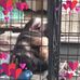 Debbie Ervin - Facebook