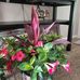Debbie Estes - Facebook