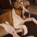 Debbie Estes - Facebook