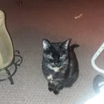 Debbie Etheridge - @debbie.etheridge1 - Instagram