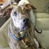 debbieeverly106 - @debbieeverly106 - TikTok