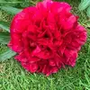 Debbie Fenner457 - @debbiefenner457 - TikTok