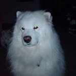 Debbie Ferryman - @debbieferryman - Instagram