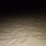 Deborah Pratt Ferry - @debbieferry81 - Instagram