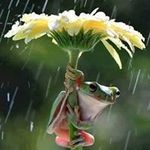 Debbie Fitzpatrick - @debbie.fitzpatrick.338 - Instagram